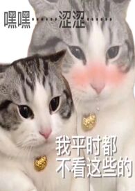 九星霸体诀：绝境焚血