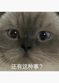 积怨（姐弟骨科）