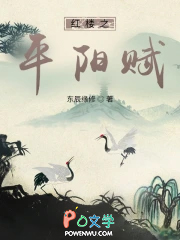 红楼之平阳赋